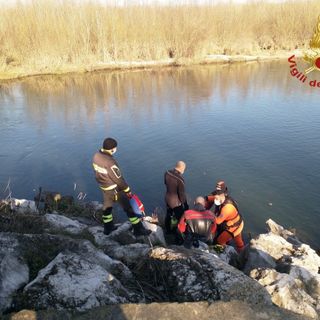 Vigevano, le immagini delle ricerche del corpo del camionista scomparso