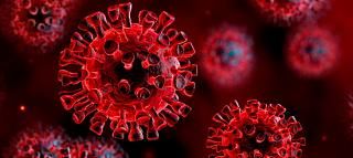 Borgo San Siro, il Coronavirus arriva in paese. Primo caso di positività