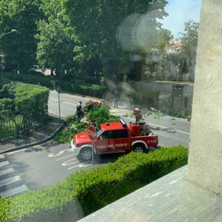 Magenta: tragedia sfiorata in via Brocca, si stacca un grosso ramo e piomba sulla strada