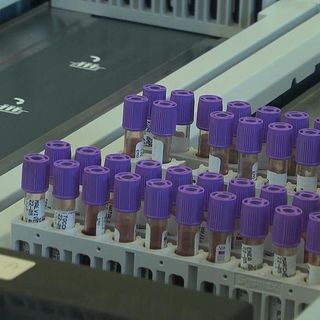 Covid, bloccata in Italia la terapia con l'idrossiclorochina
