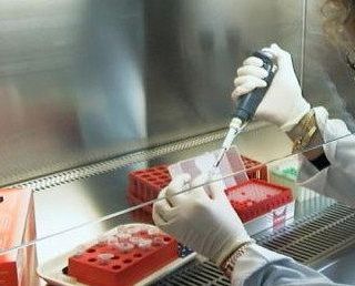 Vaccino Pfizer, via libera in Europa entro fine anno