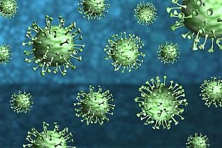 Coronavirus, identificato un anticorpo monoclonale che bloccherebbe il virus