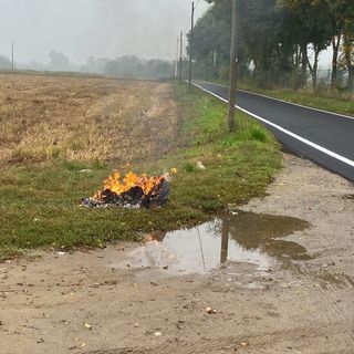 Gambolò, primi segnali positivi per combattere gli abbandoni. Sanzionato un responsabile