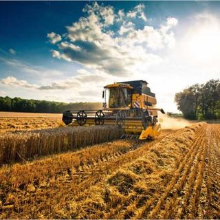 Anticipo Pac, Agricoltura. Rolfi: 160 milioni di euro a oltre 15 mila aziende agricole lombarde