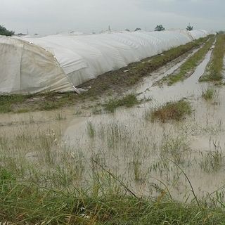 Clima: Coldiretti, 14 mld di danni all’agricoltura in ultimo decennio