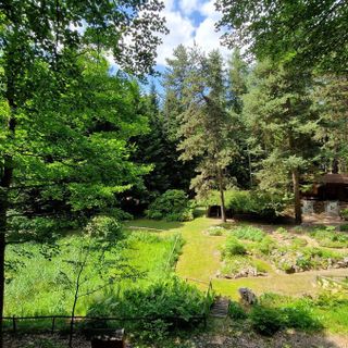 Riapre il giardino botanico di Pietra Corva