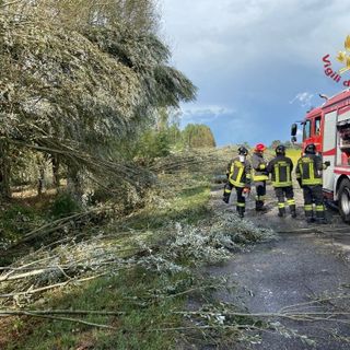 - (VIDEO) - Pavese flagellato dal maltempo, diversi interventi dei Vigili del fuoco