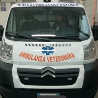 Magenta: nasce la prima ambulanza veterinaria con Inter Sos