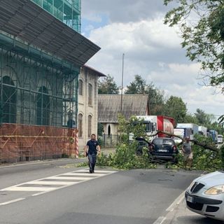 Magenta: vento abbatte le piante lungo la statale di Pontenuovo che finiscono su un’auto in transito