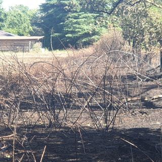 Magenta: incendio in vallata, domato dai Vigili del Fuoco. In salvo le abitazioni
