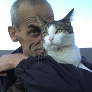 Tragedia a Bareggio: l’imprenditore Marco Barnabò trovato morto in casa, il cordoglio degli amici
