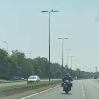 Da Robecco sul Naviglio a Genova con un rene: vita salvata a un ragazzo grazie al trasporto organi della Polizia locale