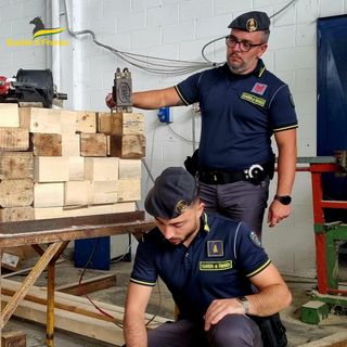 Pavia: scoperta una fabbrica di pellet contraffatti, sequestrati due capannoni
