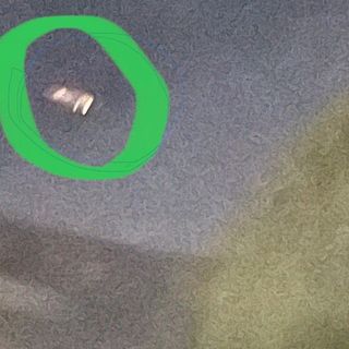 per la foto tratta da ilSaronno.it si ringrazia Giuseppe Plateroti)