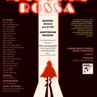 Vigevano: all'auditorium Mussini in scena gli studenti dell'istituto Itis Caramuel con &quot;Una piccola macchia rossa&quot;