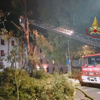Pavia: albero pericolante sul Lungo Ticino, intervengono i Vigili del fuoco