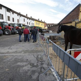 Le immagini della 37° edizione fiera agricola di Alagna