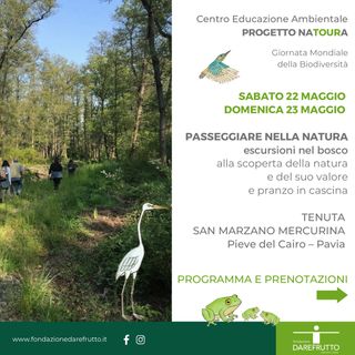 Pieve del Cairo: progetto di rigenerazione della tenuta San Marzano Mercurina