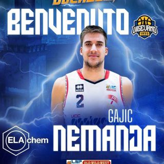 Basket serie B, Nemanja Gajic è il primo tassello della ELAchem Vigevano 2025/26