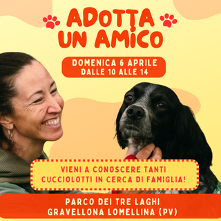 Gravellona, al Parco dei Tre Laghi l'iniziativa &quot;Adotta un amico&quot;