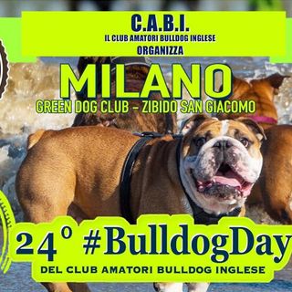 24° #BULLDOGDAY ancora in bilico causa maltempo: intanto diamo le indicazioni e le raccomandazioni in caso di conferma