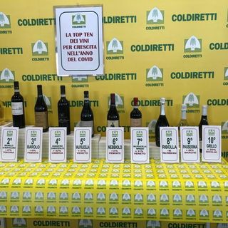 Vinitaly. Coldiretti Lombardia: «Lugana al top per vendite nell'anno del Covid»
