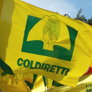 Prezzi: Coldiretti, venerdì 30/9 L’agricoltura scende in piazza