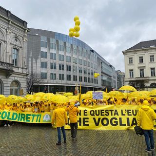 Ue, Coldiretti: agricoltori di Pavia a Bruxelles per stop burocrazia e misure urgenti per reddito imprese