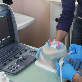 Blocco percutaneo del ganglio stellato: al San Matteo due giornate di formazione per diffondere l’utilizzo di questa tecnica