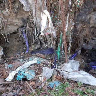 Gambolò: scoperti rifiuti speciali interrati in un'area boschiva di 4.500 metri quadrati