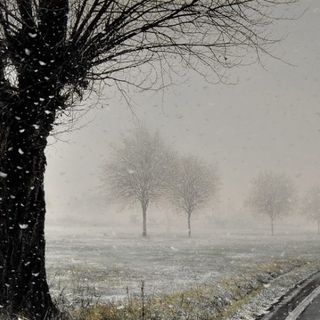 Meteo: nel weekend delle Palme dalla primavera all’inverno