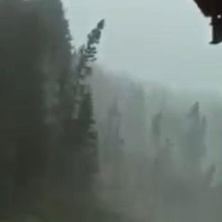 L'ESTATE DEI DOWNBURST - VIDEO. In Cadore a Alto Adige la furia del vento piega e spezza gli alberi come grissini