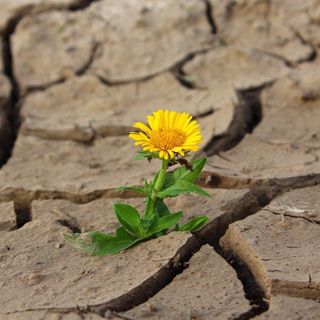 foto tratta da Pixabay.com
