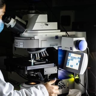 Fondazione Mondino IRCCS alla Notte Europea dei Ricercatori 2023