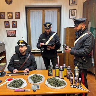 Chignolo Po: 28enne accoltellato dalla moglie, i carabinieri scoprono un locale per la produzione di marijuana