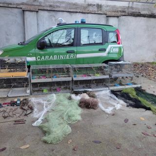 Utilizzava gli uccelli come richiami vivi e diversi strumenti di cattura illegale, denunciato