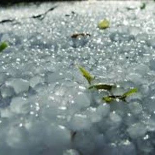 Maltempo: Coldiretti preoccupata, grandine sui campi ma il Po risale solo di 1cm