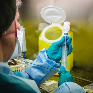 La ricerca contro i tumori rari guidata da IRCCS Maugeri Pavia, premiata a Palazzo Lombardia dalla fondazione regionale per la ricerca biomedica