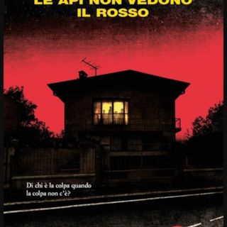 Mede, incontro con lo scrittore pavese Giorgio Scianna
