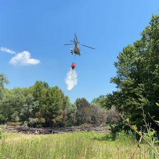 Mezzana Bigli: incendio brucia due ettari di fogliame e tronchi, salvato un gregge di pecore