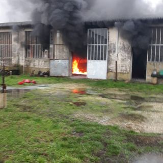 Ferrera: auto in fiamme sulla statale Sannazzaro-Torre Beretti, intervegono i Vigili del fuoco