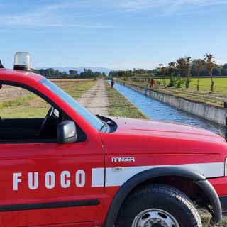 Gropello Cairoli: daino cade in un canale artificiale pieno d'acqua con sponde in cemento, messo in salvo dai Vigili del fuoco
