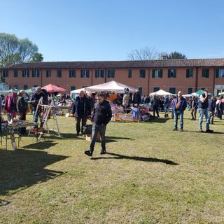 Domenica 21 Maggio torna a Pavia l’appuntamento con la sostenibilità: all’allea di viale Matteotti il Mercatino del Ri-Uso nuova vita alle cose