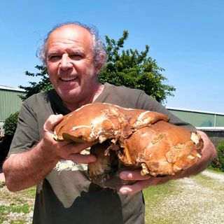 Dario Lucca mostra con orgoglio il porcino da record