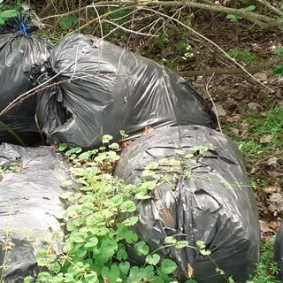 Sannazzaro: abbandono di rifiuti e taglio di alberi nell'area campestre di via Gorana. Gli ecologisti lanciano l'allarme
