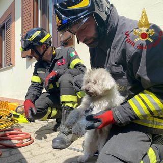 Vellezzo Bellini: cane rimane incastrato sotto a un'auto, liberato dai Vigili del fuoco