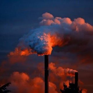 WWF Lodigiano &amp; Pavese contro il quadruplicamento di un inceneritore in Lomellina