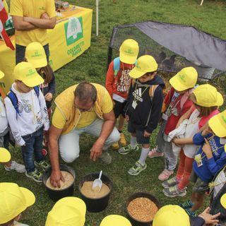 Scuola, 500 bambini colorano di giallo il Castello di Vigevano per la festa finale del progetto scolastico di Coldiretti Pavia