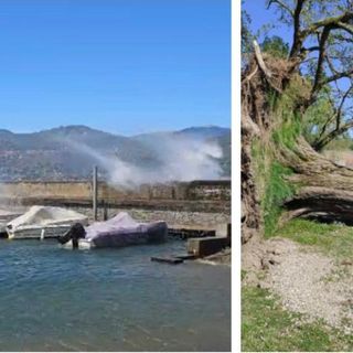 VIDEO e FOTO. Le folate di vento sferzano il lago Maggiore, albero sradicato ad Angera
