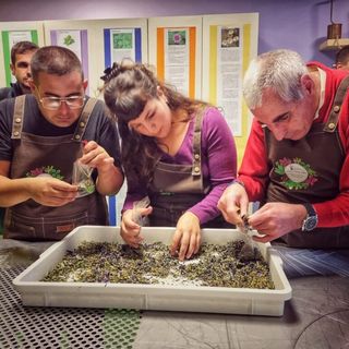 Inaugurata a Galliate la 'Piazza delle Erbe'